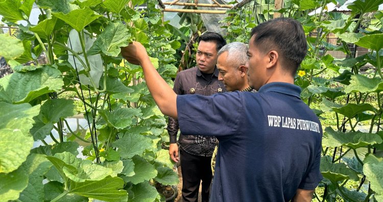 Wujud Pembinaan Produktif, Lapas Purwokerto dan Dinas Pertanian Rutin lakukan Monitoring Budidaya Melon