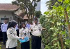 Panen Perdana Buncis, Bapas Purwokerto Dukung Ketahanan Pangan Lewat Pemanfaatan Lahan Terbatas