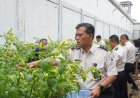 Panen Raya Serentak Pemasyarkatan, Lapas Purwokerto Dukung Ketahanan Pangan Nasional 