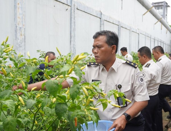 Panen Raya Serentak Pemasyarkatan, Lapas Purwokerto Dukung Ketahanan Pangan Nasional 